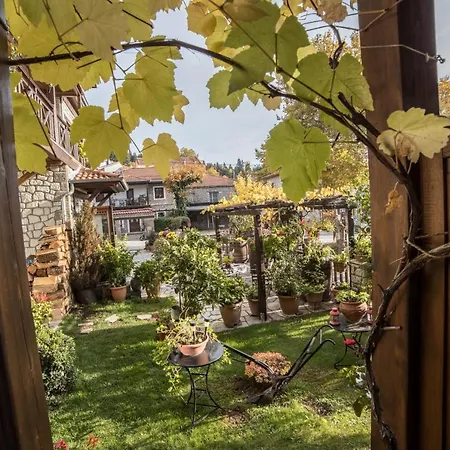 Hotel Archontiko Tsiboni Elati (Trikala)